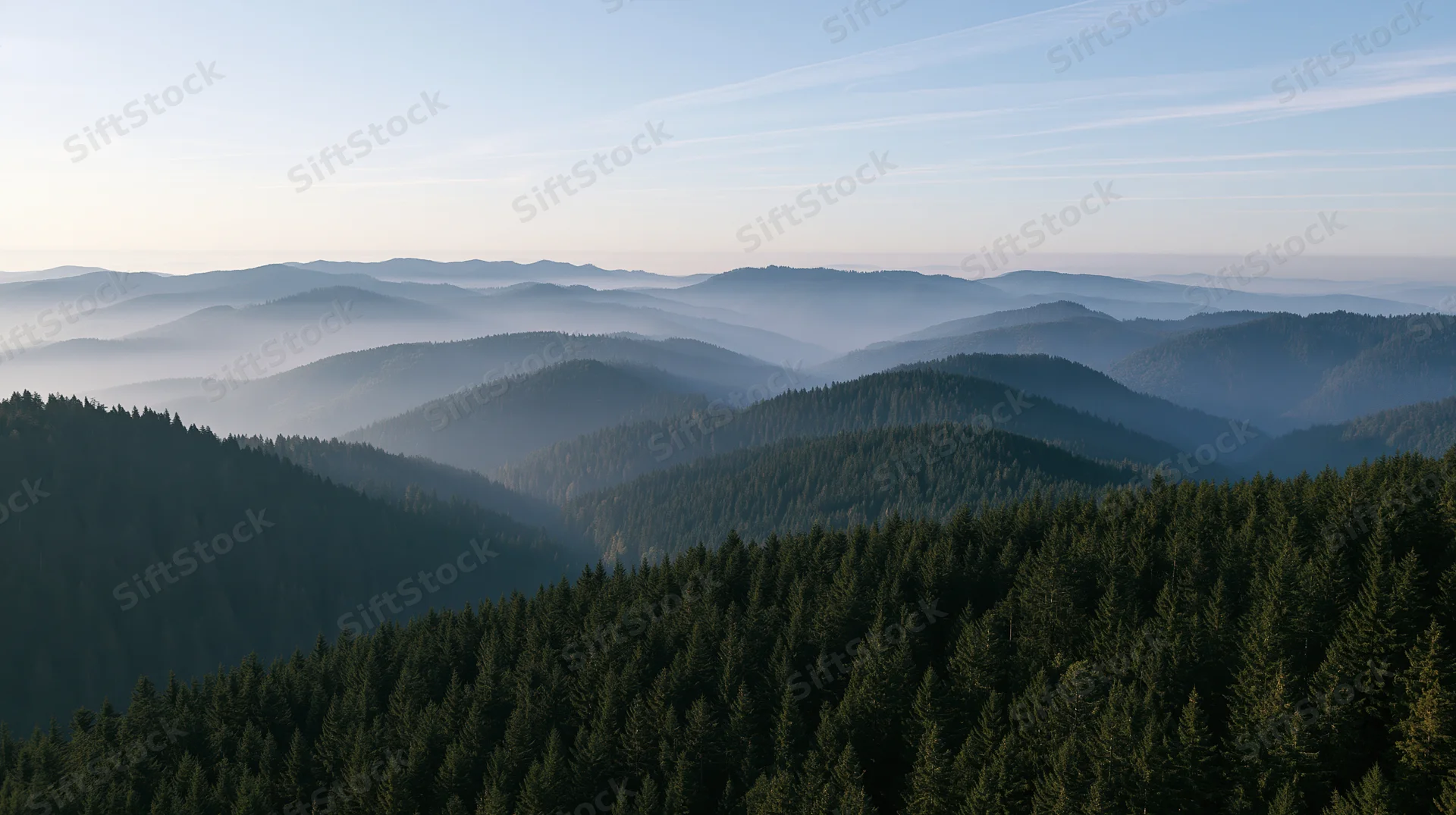 Aerial view of a vast conifer forest stretching across rolling mountains under a hazy sky
