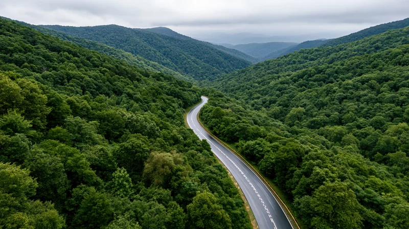 Aerial view of a winding two-lane highway curving through a dense green forest in a mountain valley