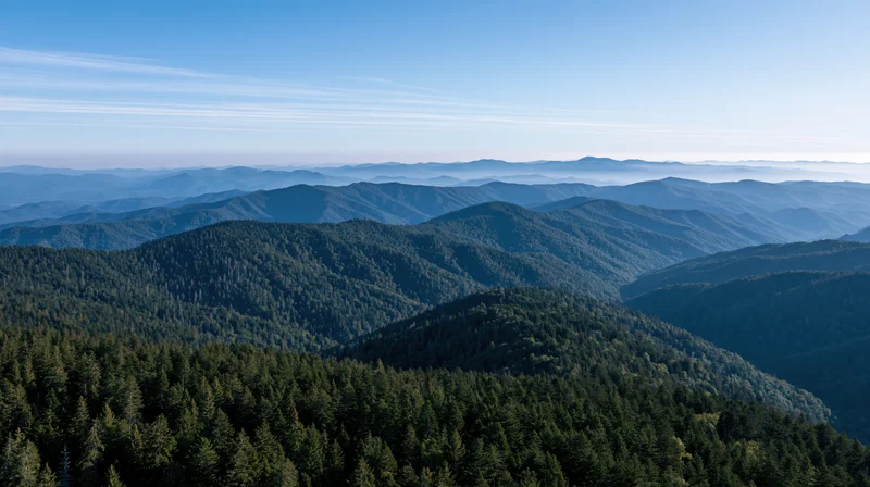 Aerial view of layered forested mountains under clear blue sky