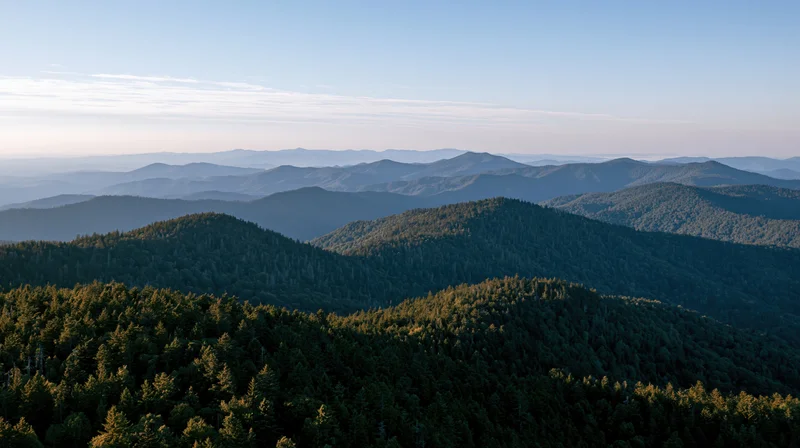 Aerial view of layered forested mountains under clear sky