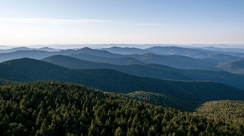 Aerial view of layered forested mountains stretching into the distance under a clear sky