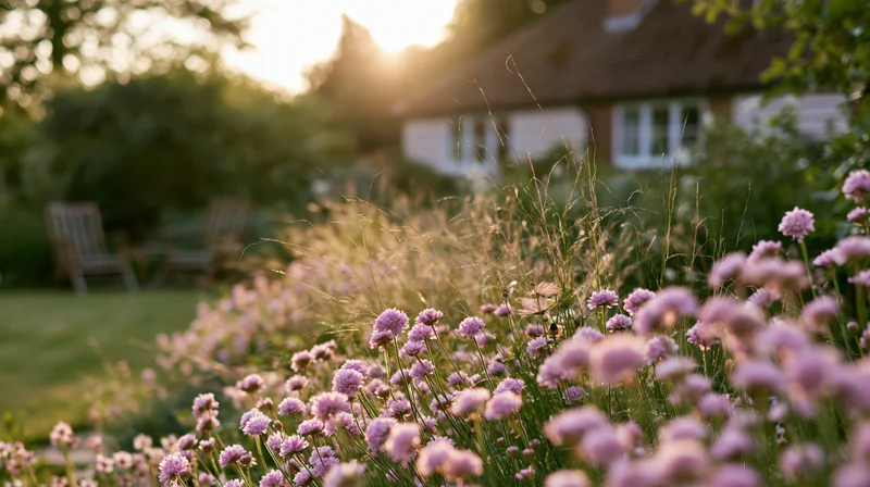 Pink and purple flowers blooming in a cottage garden border at sunset with a house in the background