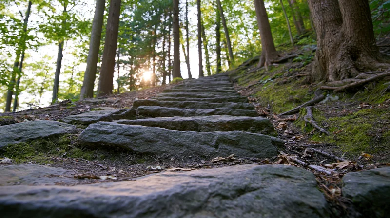 Stone staircase ascending through a forest with sunlight filtering through trees
