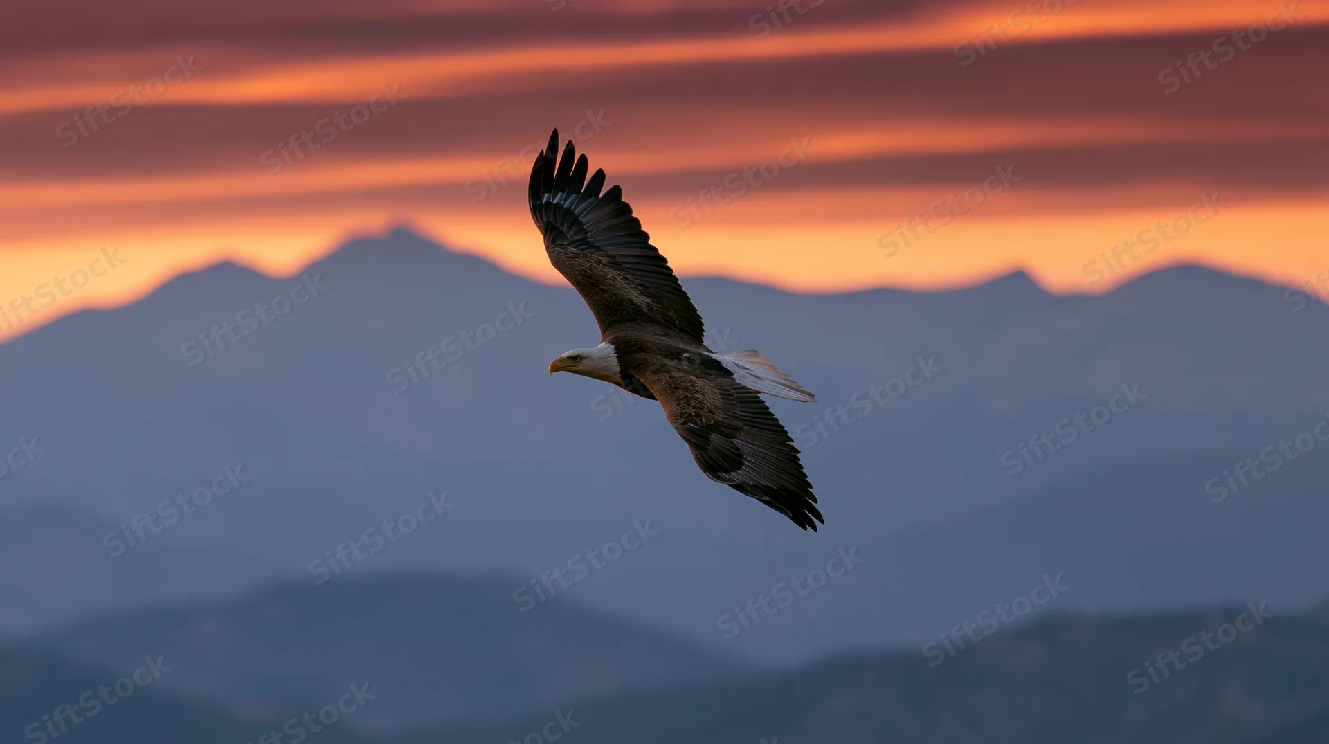 Bald eagle soaring with wings fully extended against a mountain range at sunset