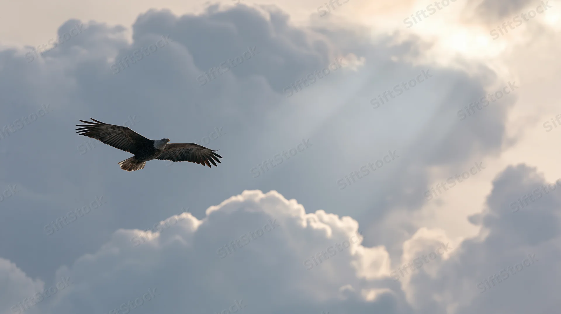 Bald eagle soaring with wings spread against dramatic cloudy sky