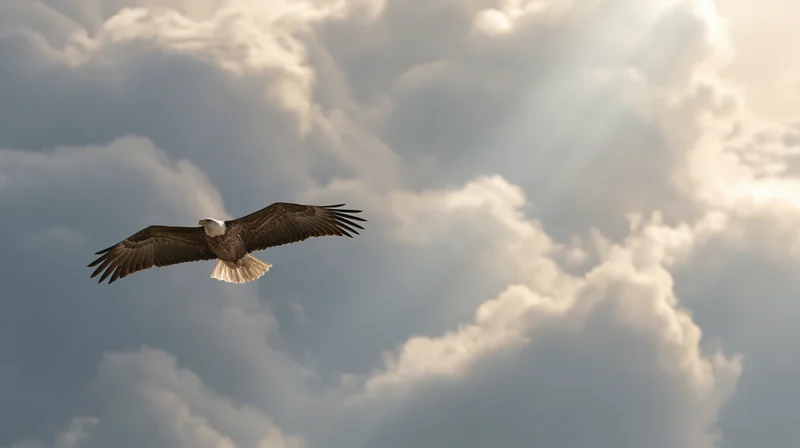 Bald eagle soaring with wings fully spread against a dramatic cloudy sky