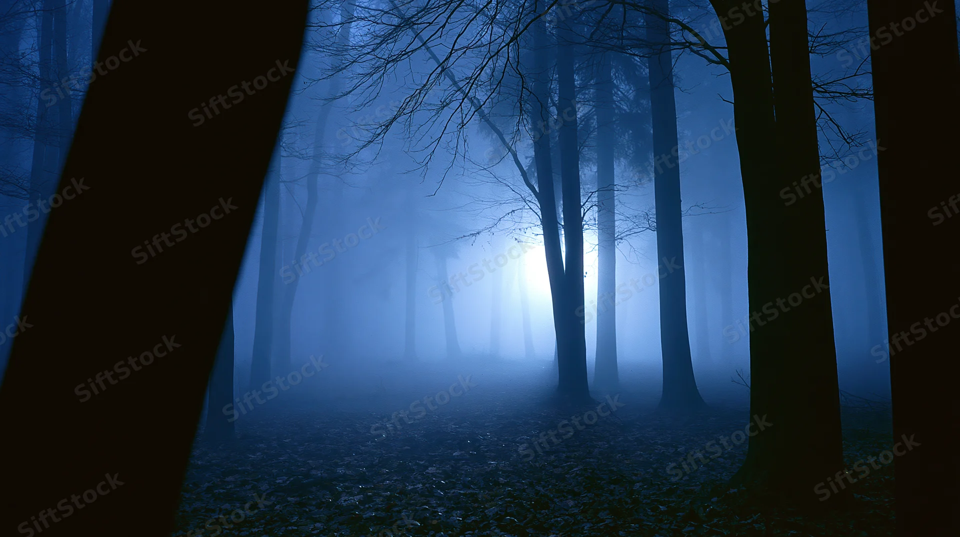 Bare deciduous trees in dense fog at night with blue light glowing through the forest