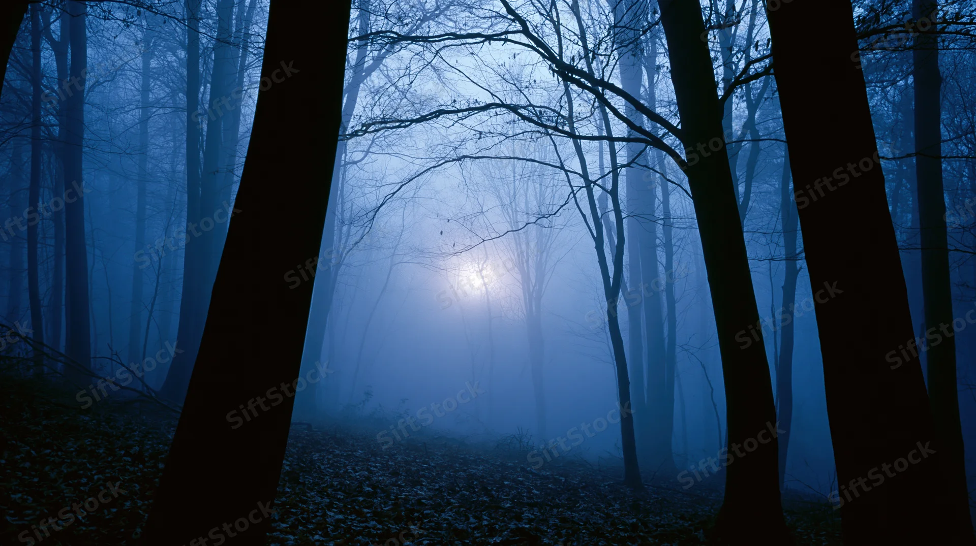 Bare deciduous trees in a foggy forest at night with moonlight glowing through the mist