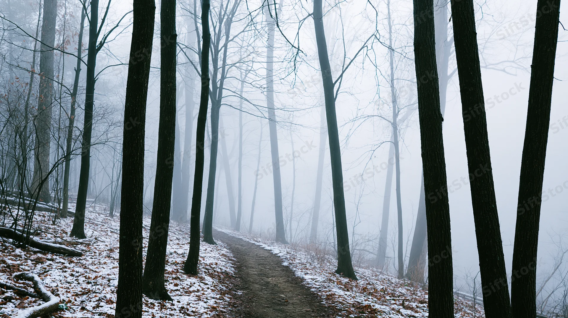 Narrow dirt path winding through bare deciduous trees in a foggy snow-dusted forest