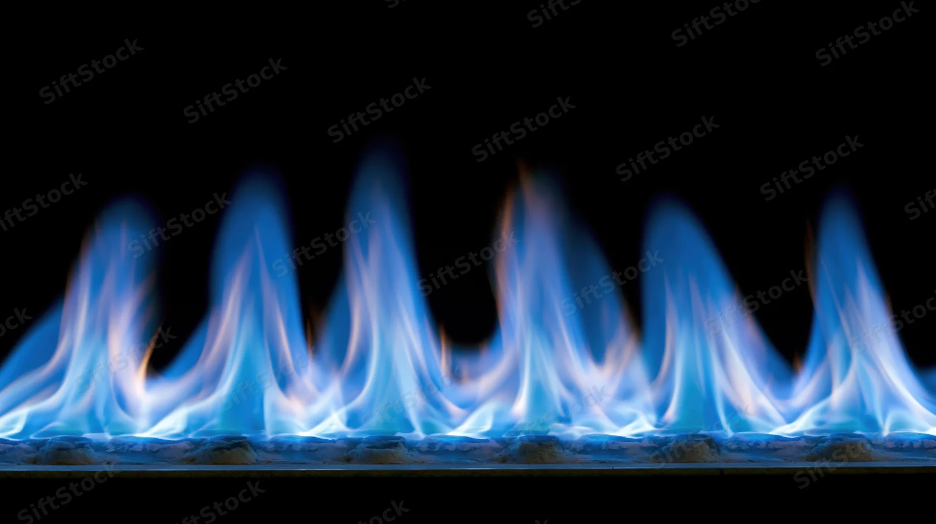 Blue gas flames burning low across a stove burner against black background