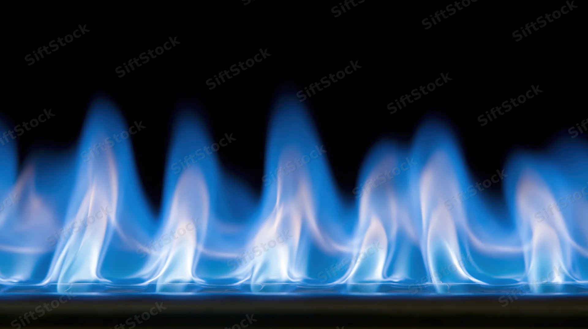 Blue gas flames burning steadily across a stove burner against a black background