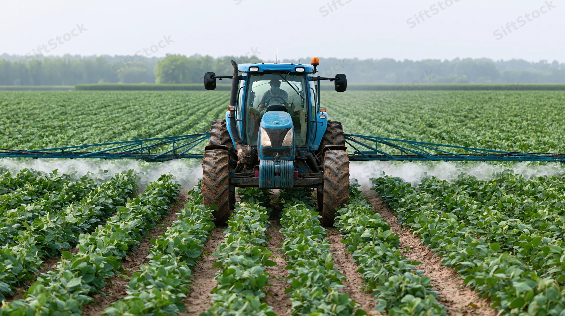 Blue tractor with spray boom moving through rows of soybean plants in a field