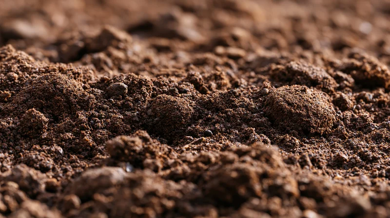 Close-up of freshly tilled dark garden soil with rich texture and organic matter