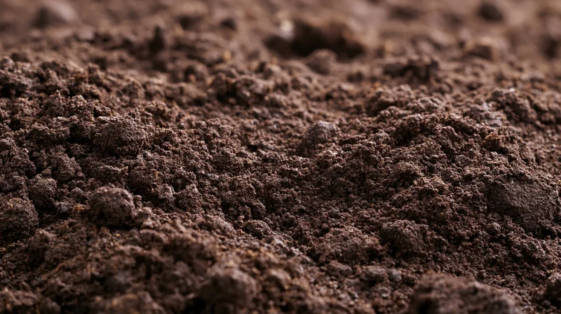 Close-up of dark tilled garden soil with rich texture and organic matter