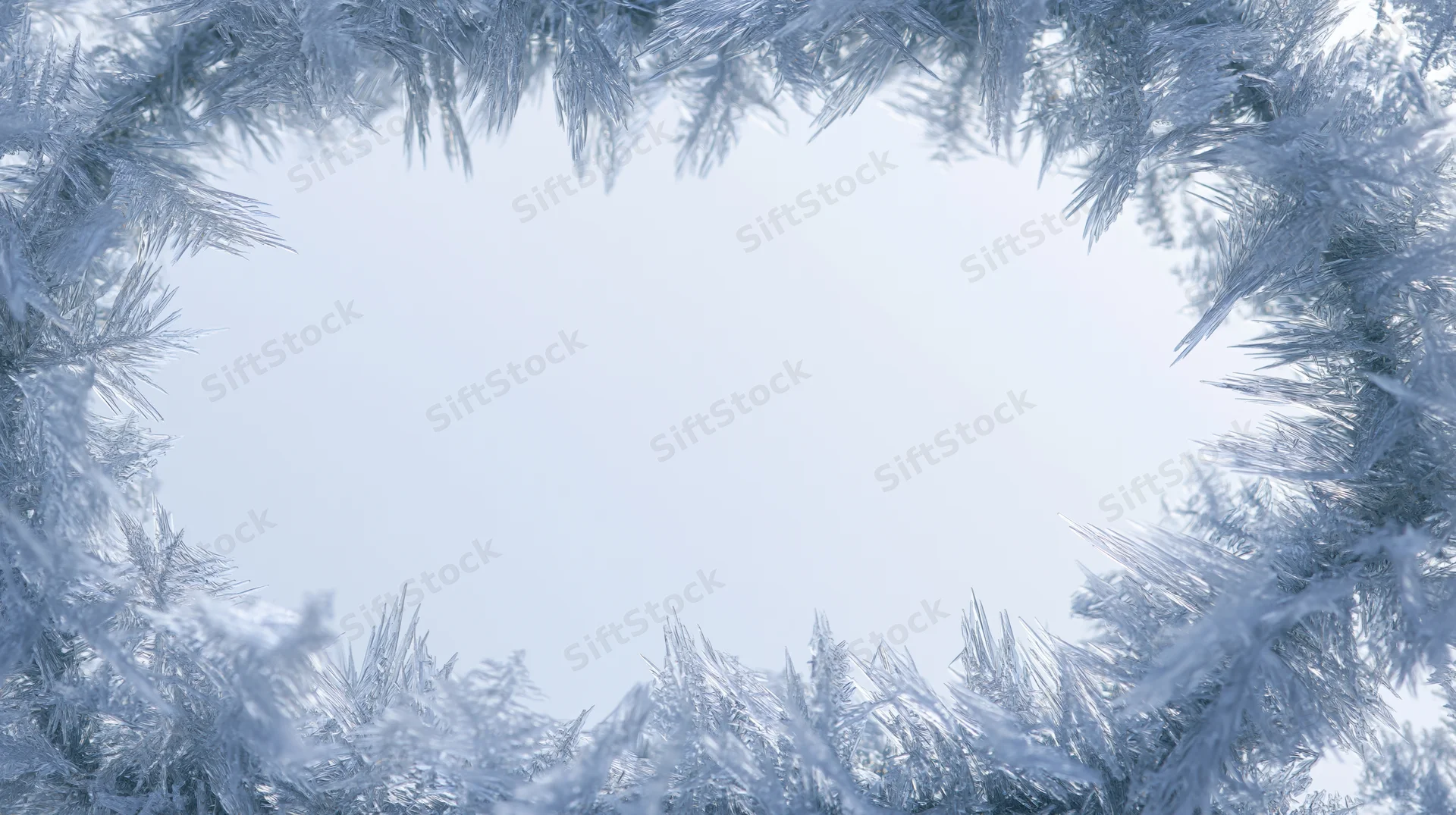 Frost-covered pine branches forming a circular frame around a bright sky