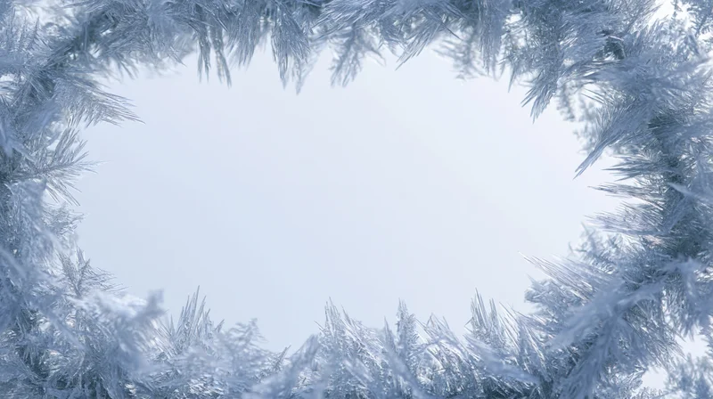 Frost-covered pine branches forming a circular frame around a bright sky