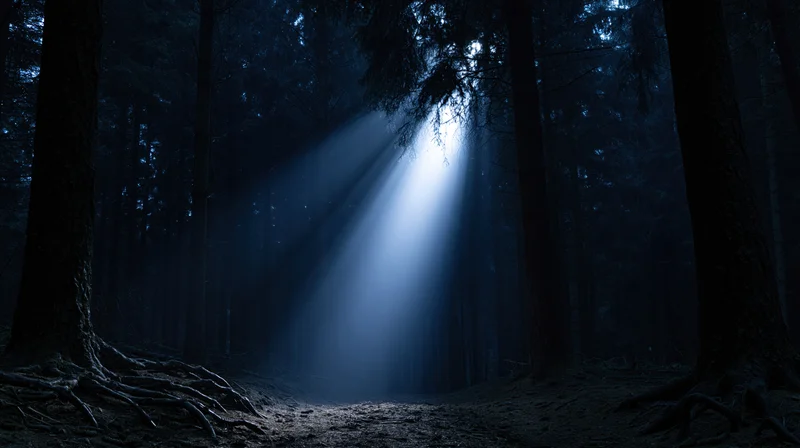 Moonlight beam cutting through dark forest at night, illuminating a path between tall trees