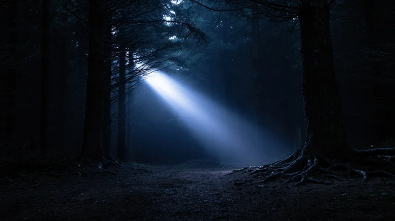 Moonlight beam cutting through dark forest at night along a path between trees