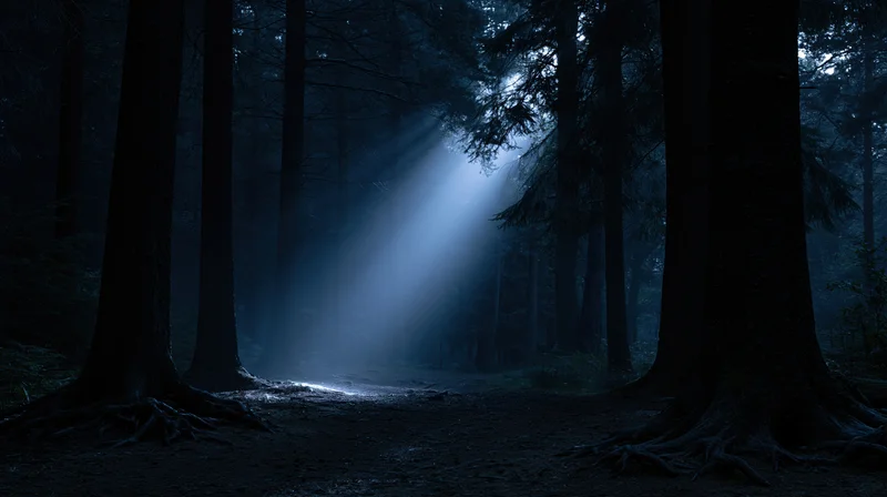 Moonlight beam cutting through dark forest trees at night, illuminating misty path