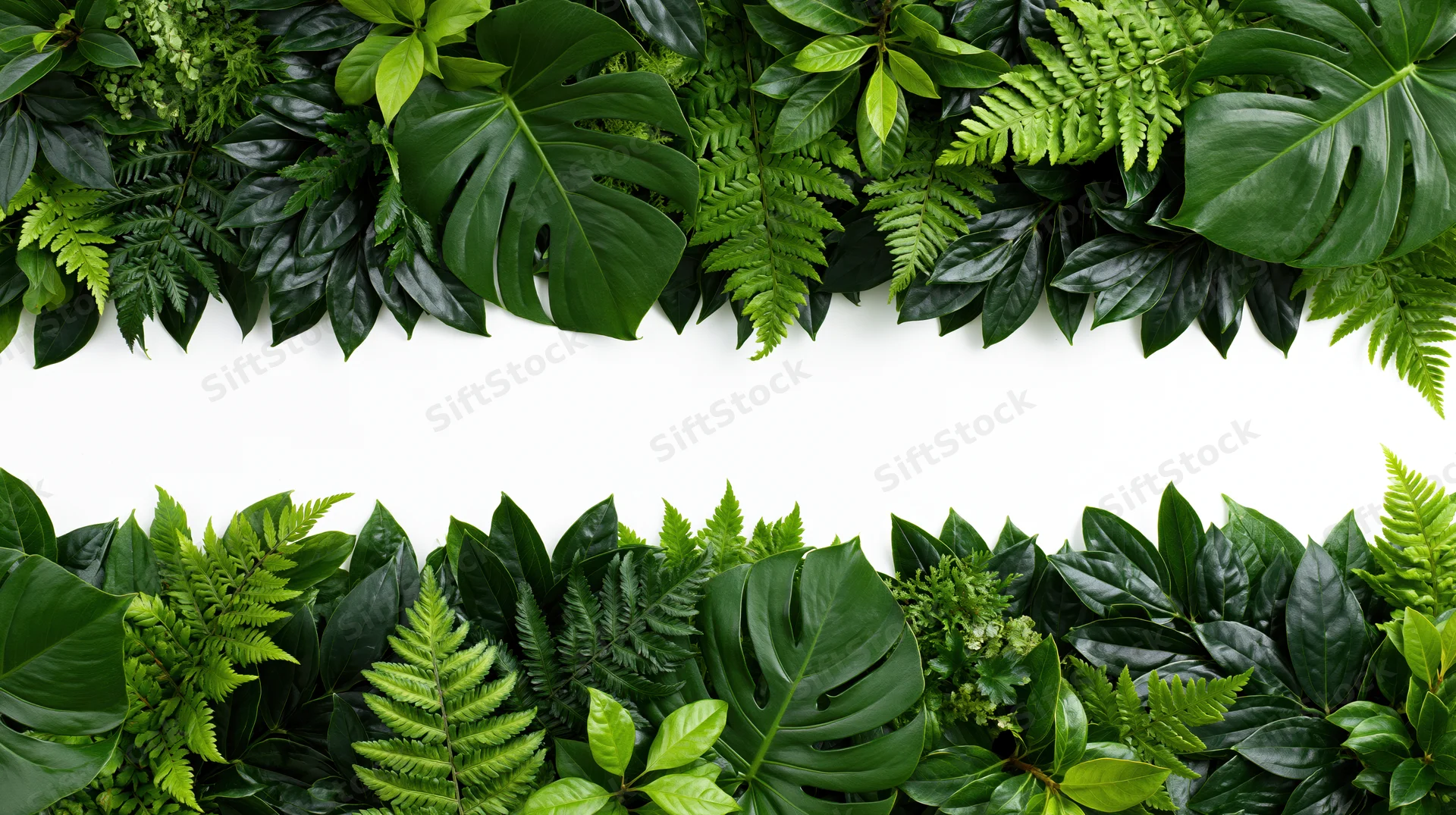 Tropical foliage arranged in a dense border frame with white copyspace in center