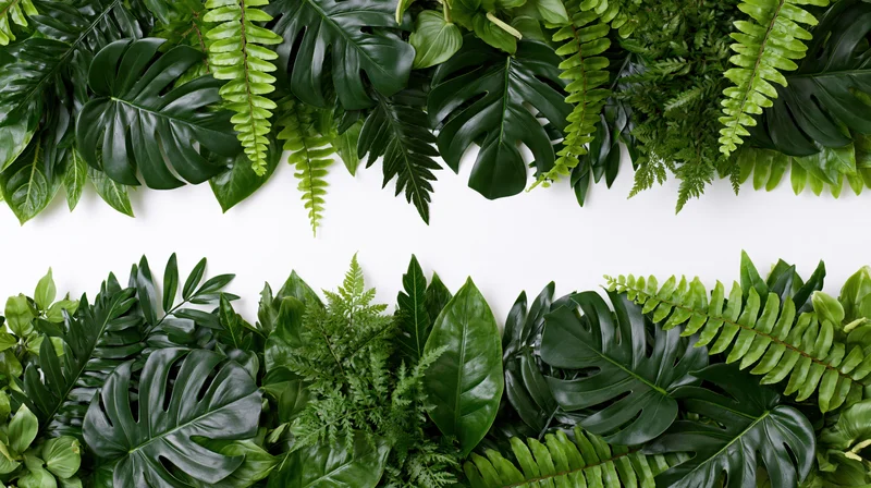 Dense arrangement of tropical foliage forming a border on white background