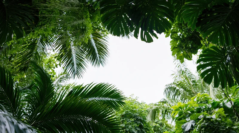 Dense tropical jungle foliage forming a natural frame around the sky from below
