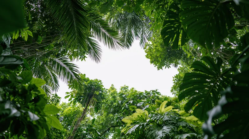 Dense tropical jungle foliage forming a natural frame around the sky from a low angle view