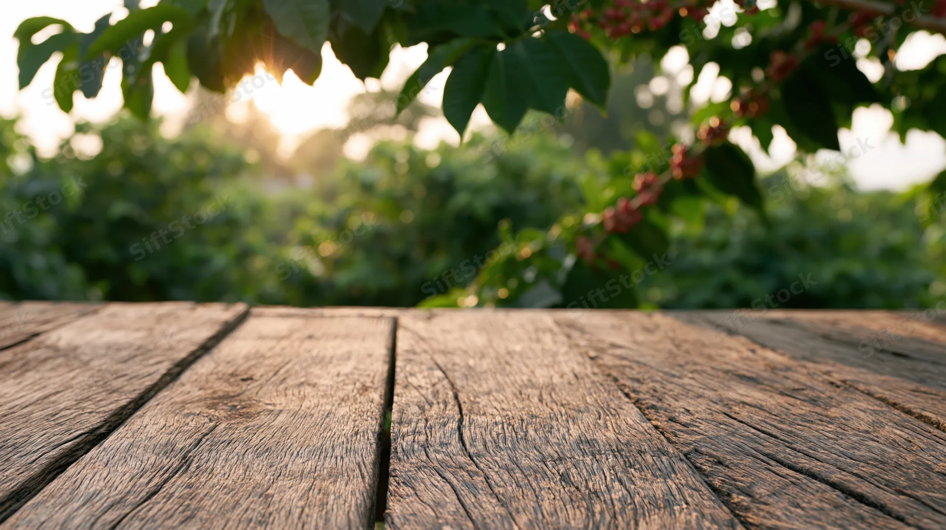 Weathered wooden table surface in a garden with foliage and sunlight in the background