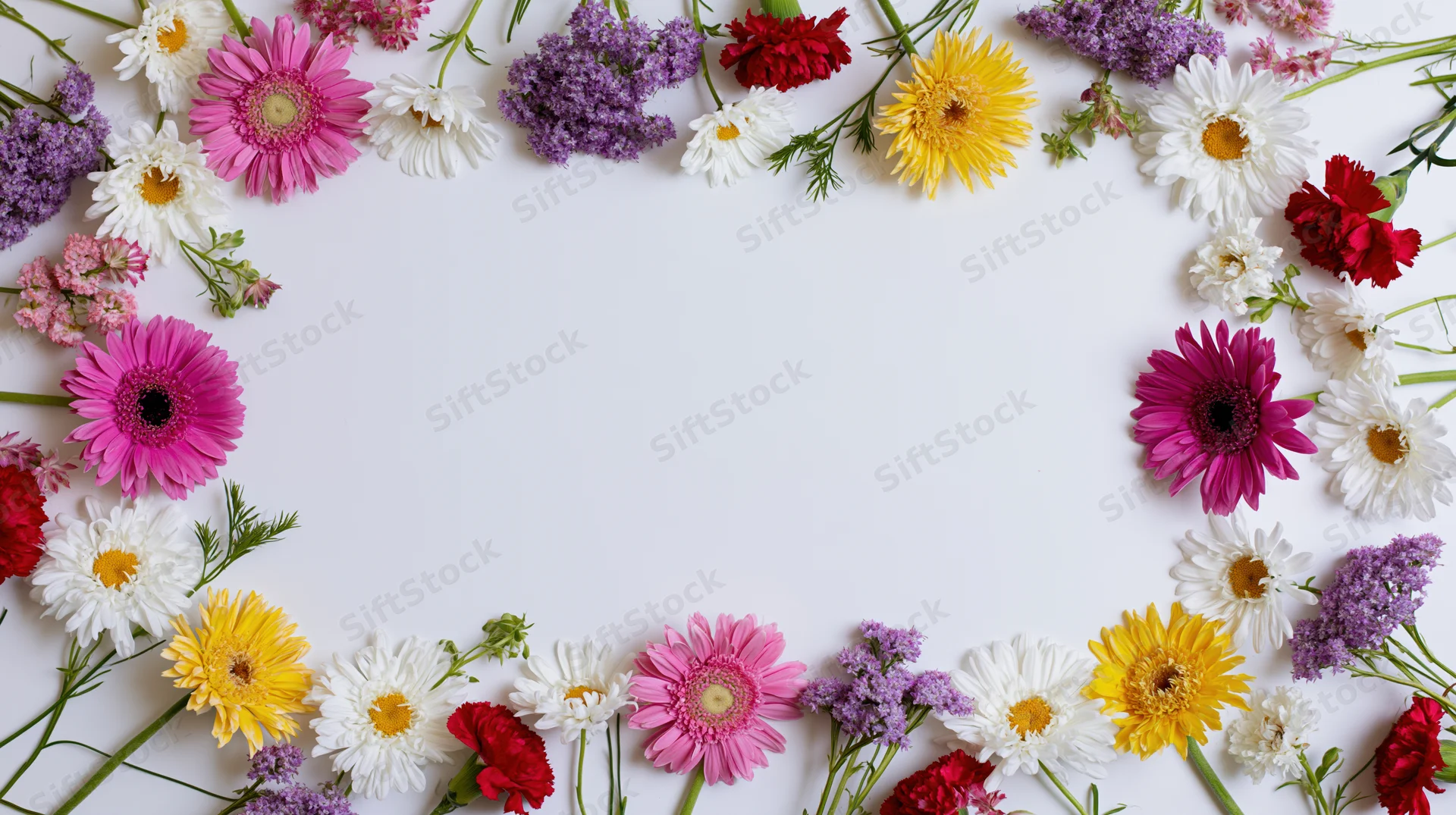 Assorted fresh-cut flowers arranged in a circular frame on white surface with copyspace in center