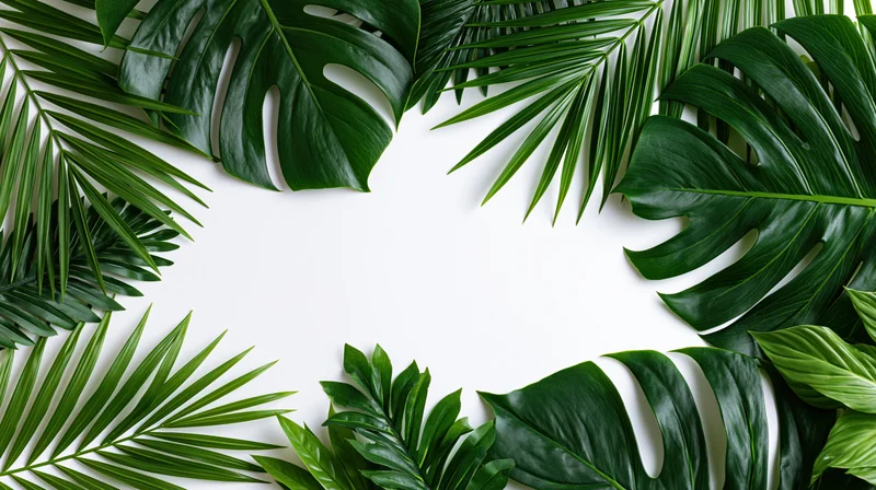 Tropical leaves arranged in a natural border frame on white background