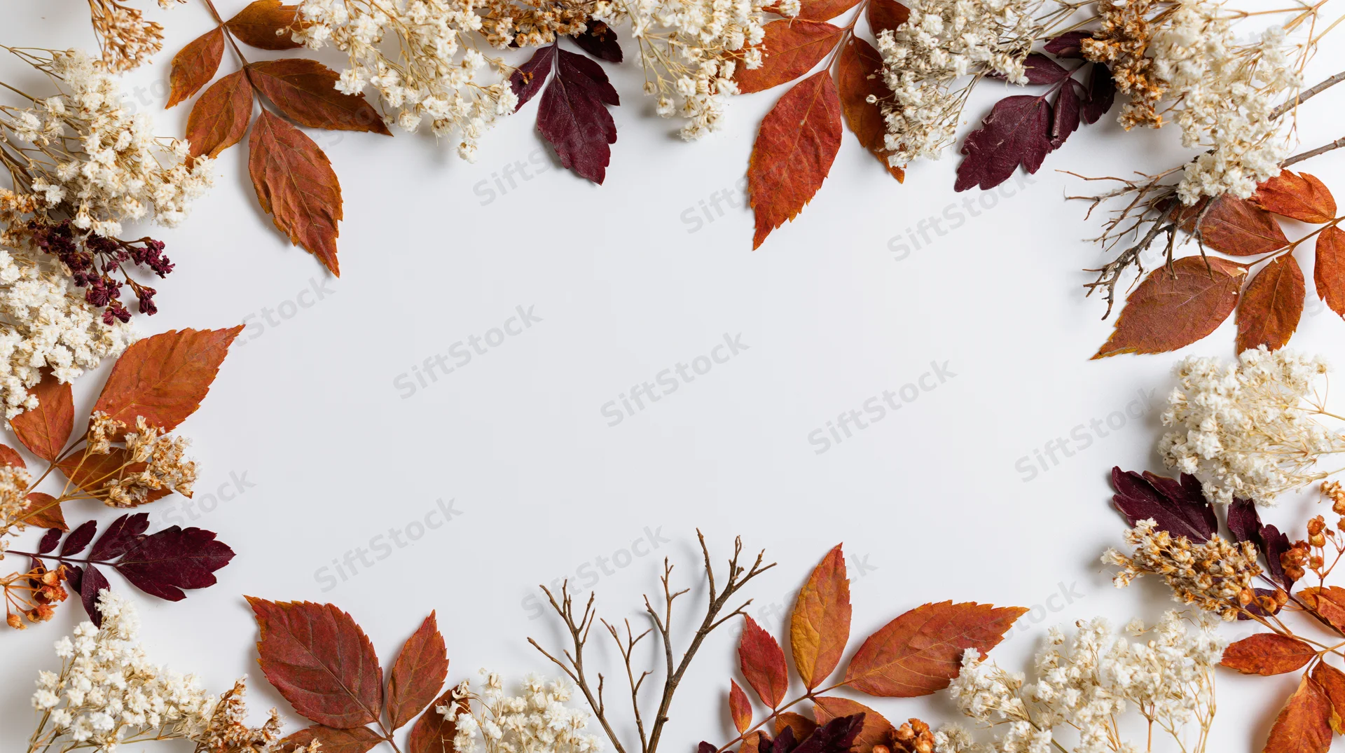 Dried autumn botanicals arranged as a border frame on white background with copyspace