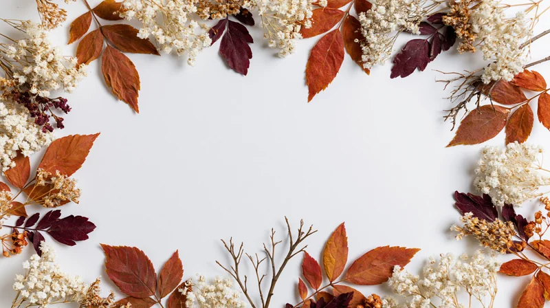 Dried autumn botanicals arranged as a border frame on white background with copyspace