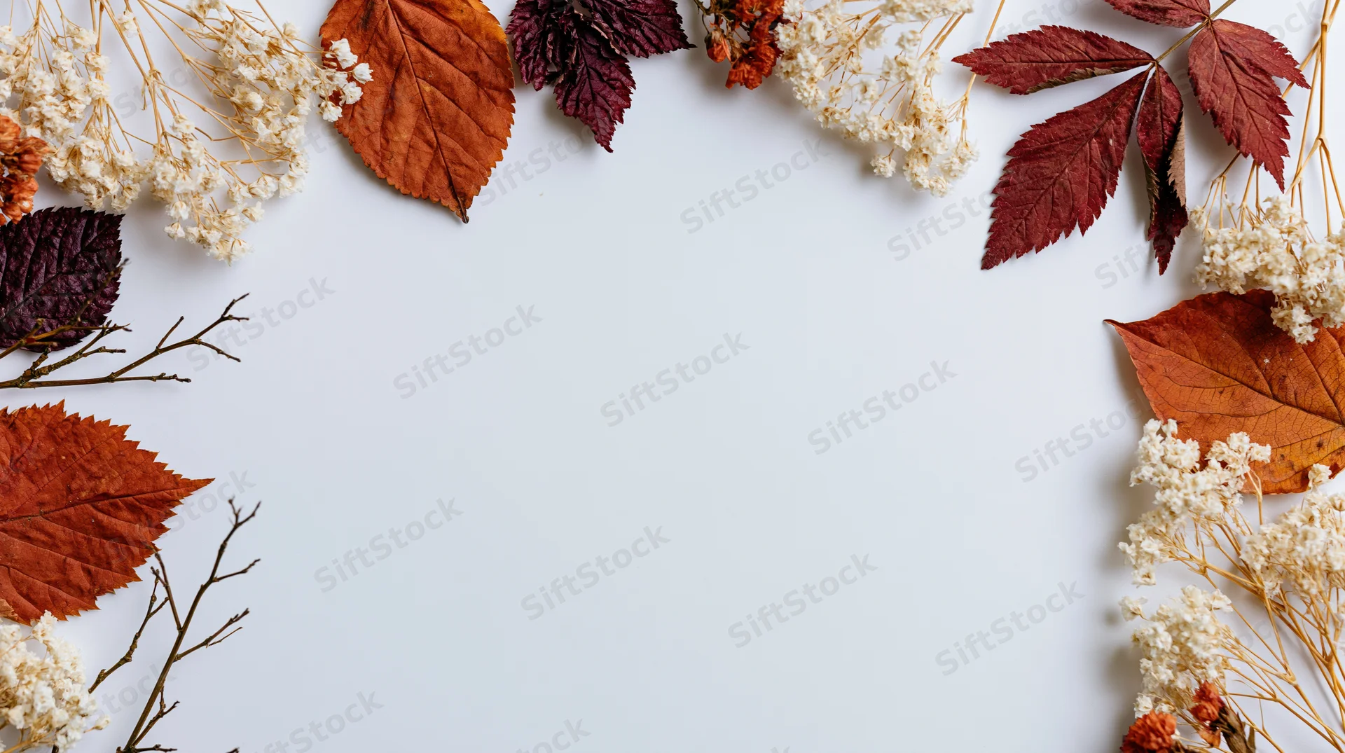 Dried autumn botanicals arranged as a border frame on white surface with copyspace