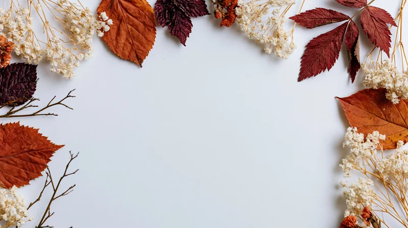Dried autumn botanicals arranged as a border frame on white surface with copyspace