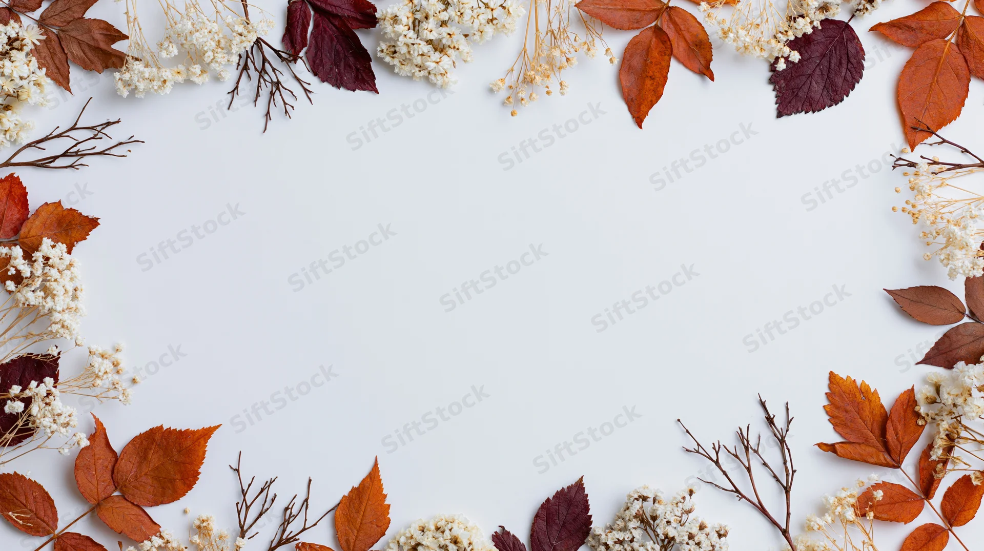 Dried autumn botanicals arranged as a border frame on white background