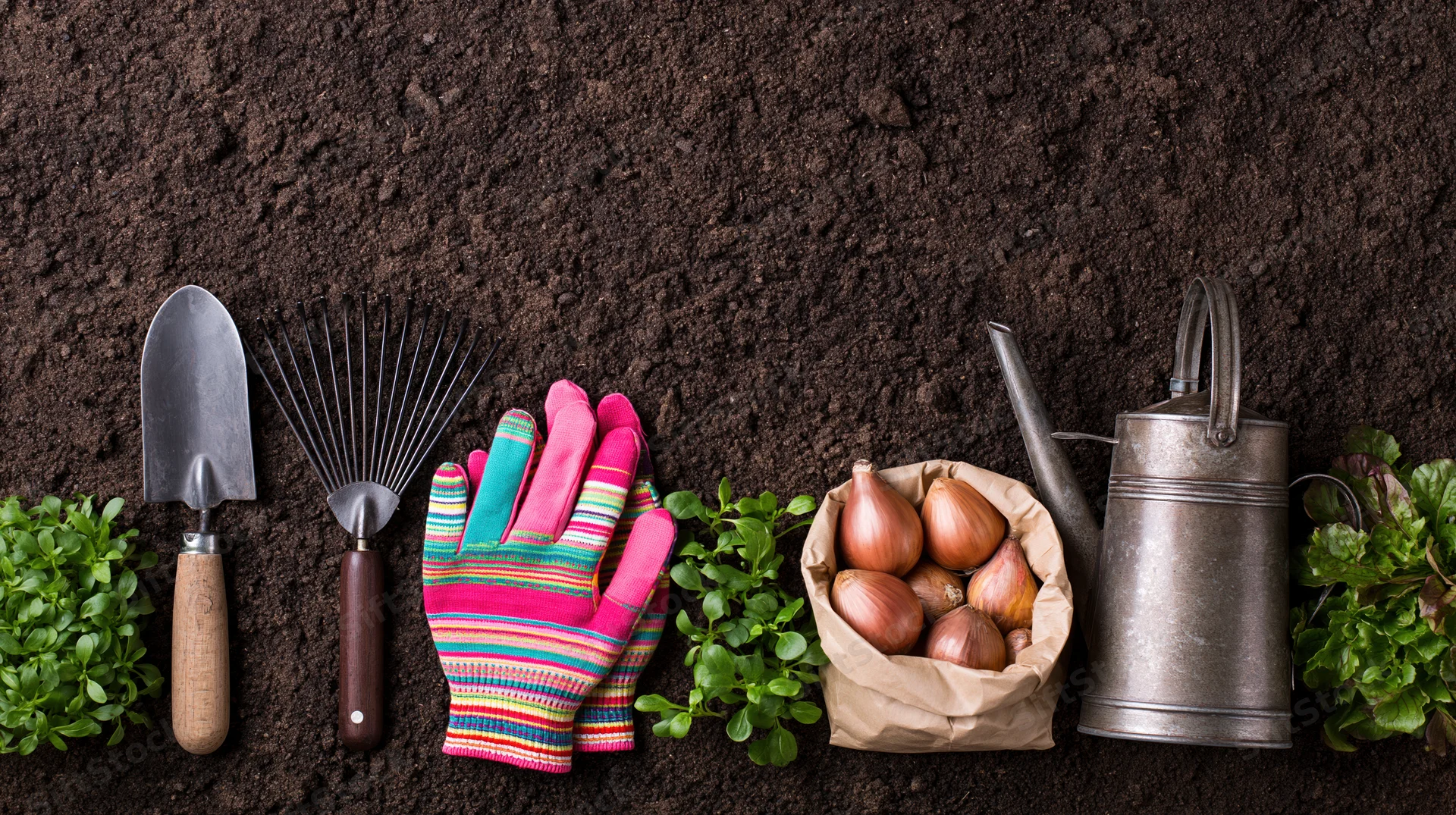 Gardening tools and seedlings arranged on soil in a flat lay with copyspace