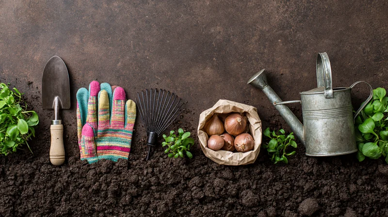 Gardening tools and seedlings arranged on soil with onions and a watering can