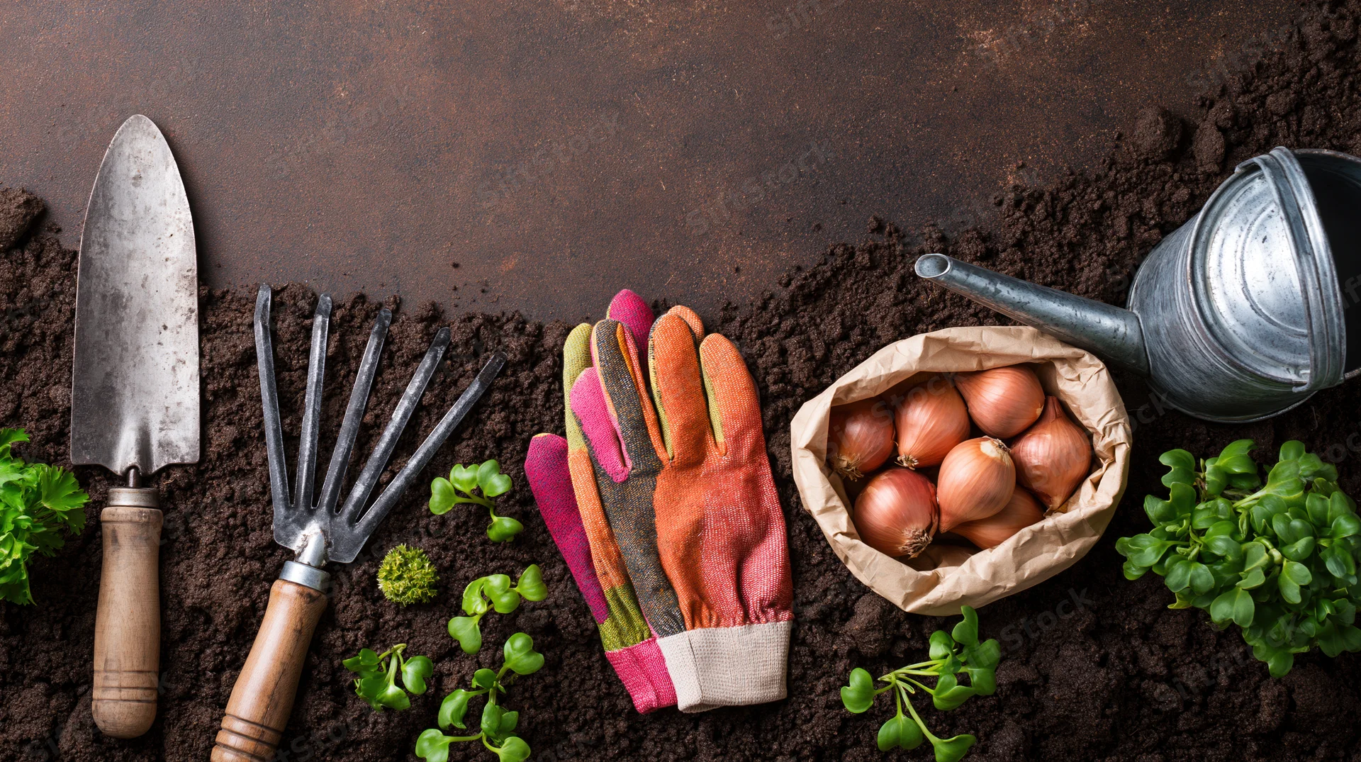 Gardening tools and seedlings arranged on soil with onions and gloves in a flat lay