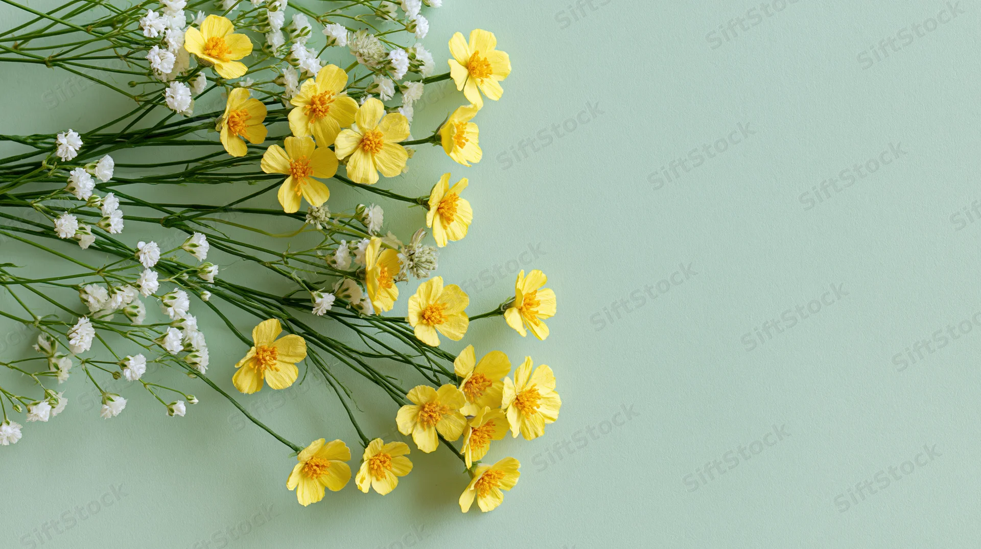 Small yellow wildflowers and tiny white filler blooms arranged in flat lay on mint green surface