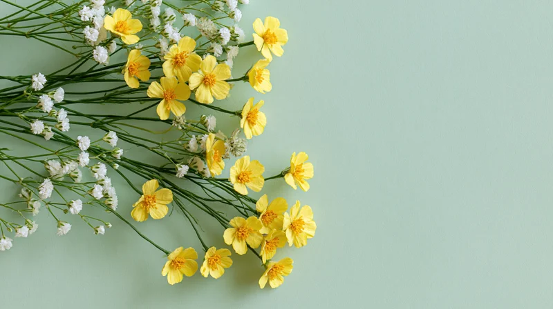 Small yellow wildflowers and tiny white filler blooms arranged in flat lay on mint green surface