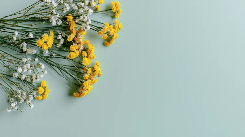 Small yellow and white wildflowers arranged in a flat lay on a mint green surface with copyspace