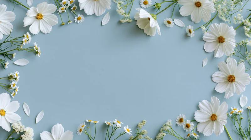 White cosmos flowers and small daisies arranged in a border on a blue background with copyspace