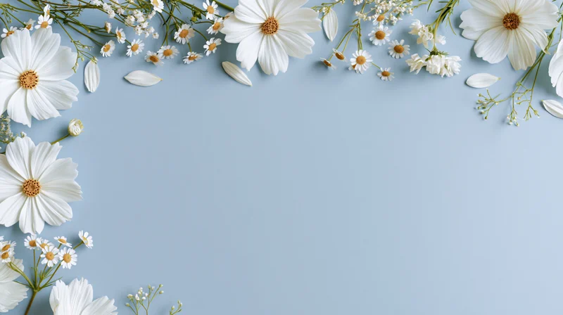 White cosmos flowers and small daisies arranged in a flat lay along the edges of a light blue surface, leaving central copyspace