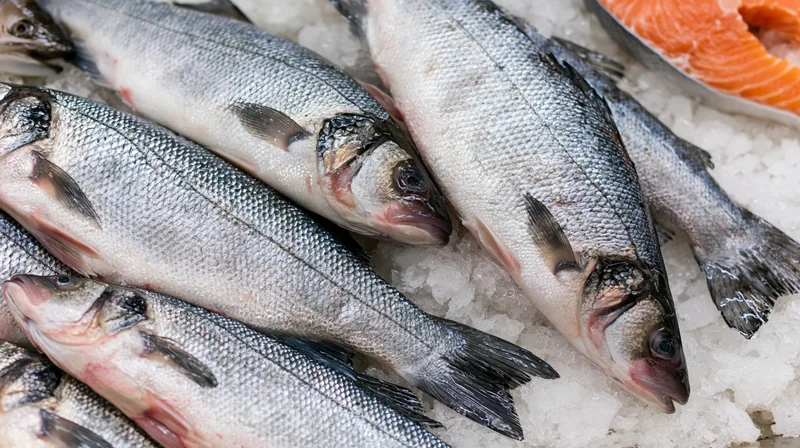 Whole sea bass and trout arranged on crushed ice at a market display