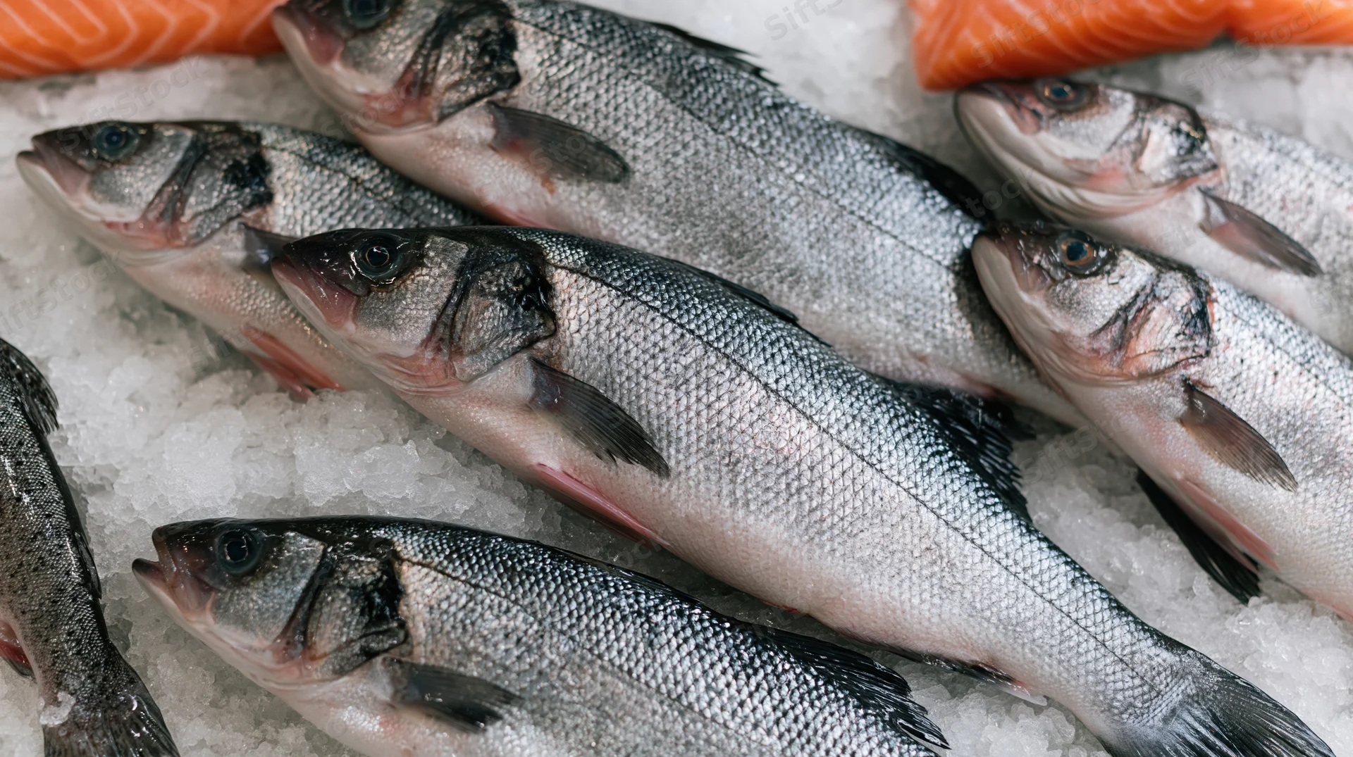 Whole sea bass and salmon arranged on crushed ice at a market display