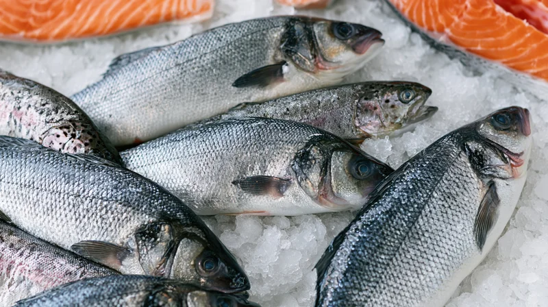 Whole sea bass and trout arranged on crushed ice at a seafood market display