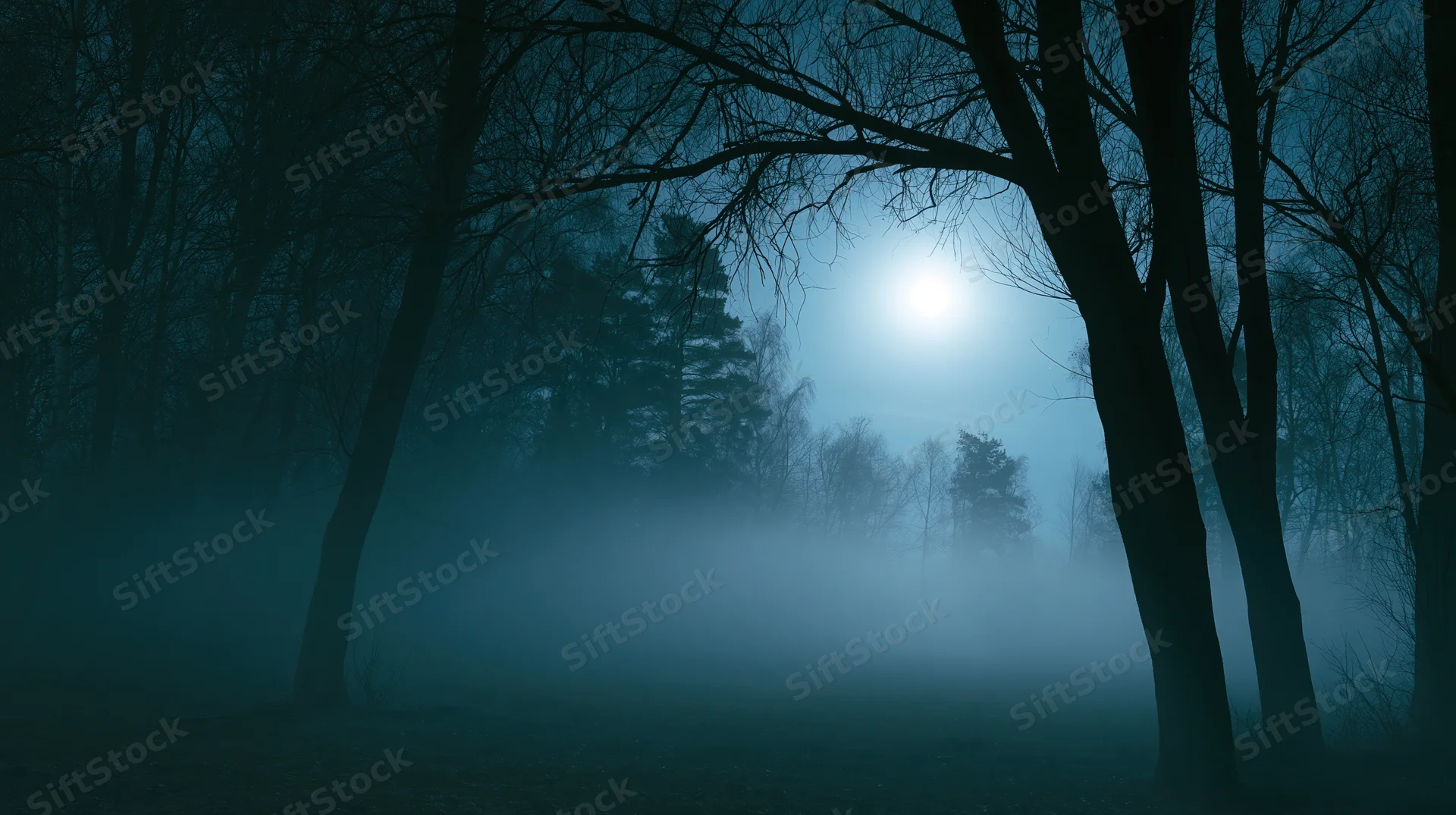 Full moon glowing through bare trees in a foggy forest at night