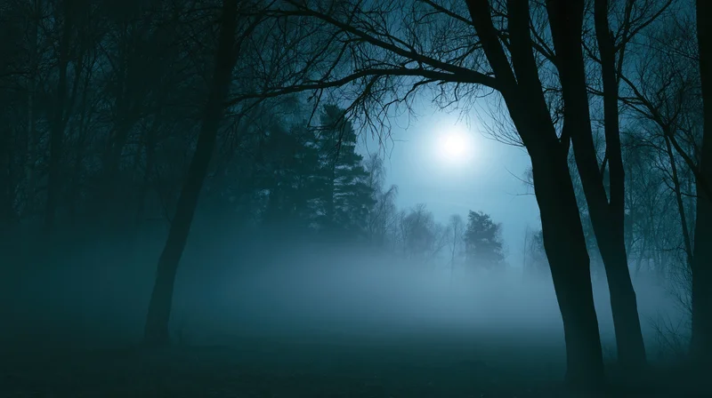 Full moon glowing through bare trees in a foggy forest at night