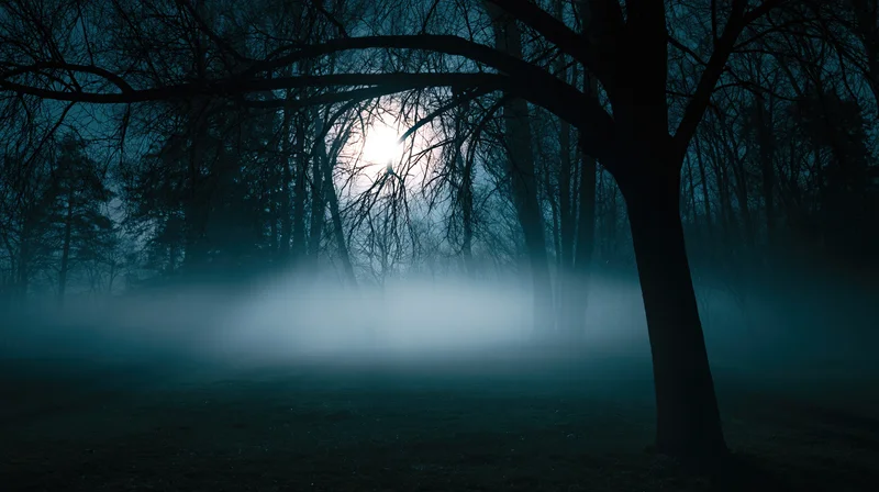 Full moon glowing through bare trees in a foggy forest at night