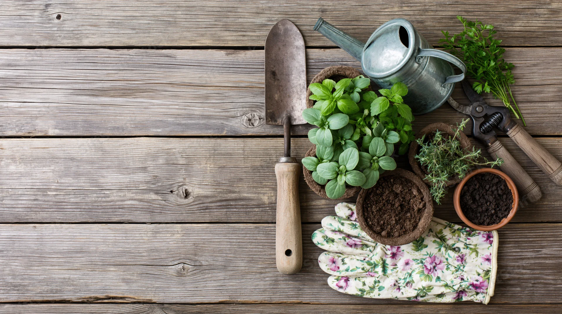 Gardening tools and seedlings arranged on a weathered wooden surface